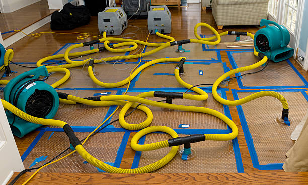 Professional Crawl Space Water Removal technician working in Jackson, WY
